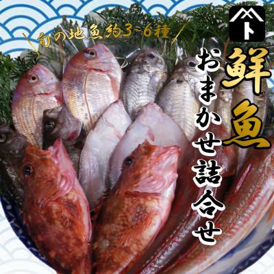 ふるさと納税 南知多町 豊浜漁港で水揚げした鮮魚詰め合わせ