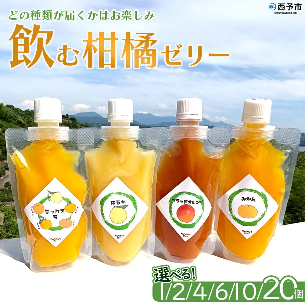 【ふるさと納税】＜つるんと食感の飲む柑橘ゼリー＞『1か月以内に順次発送予定』選べる 内容量 種類はおまかせ ゼリー パウチ みかん 蜜柑 デザート スイーツ おやつ ストレート 果汁 100％ 食感 ぷるぷる お楽しみ 渡江から一歩を踏み出す会 愛媛県 西予市 【常温】