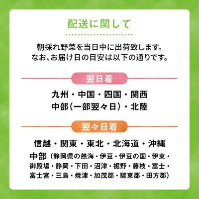 ふるさと納税 糸島市 【全12回定期便】朝採れ野菜セット (8品前後) [AGE012] |  | 02