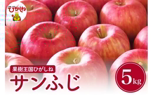 【2026年産 先行予約】りんご「サンふじ」5kg 滝口観光果樹園提供 山形県 東根市 hi030-047