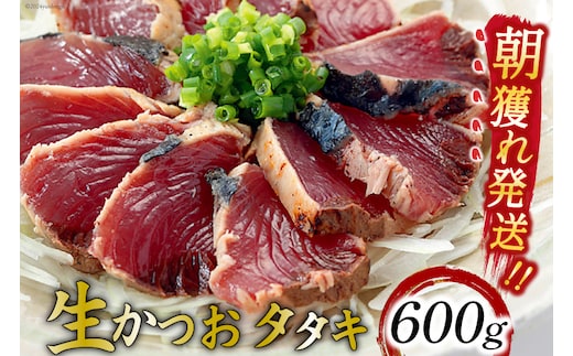 
										
										朝獲れ 産地直送 冷蔵便 生かつおタタキ 600g（2～3筋） タレ付 真空パック [阿部長商店 宮城県 気仙沼市 20564103] 冷蔵 鮮魚 魚 かつお カツオ 鰹 刺身 冷蔵 季節限定 カツオタタキ かつおタタキ レビューキャンペーン
									