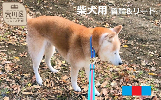 
柴犬用カラー（首輪）＆リード(カラー：水色・赤・水色)
