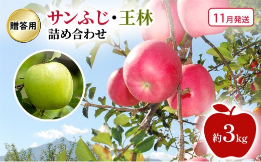 
                  [№5554-0408]【11月発送】贈答用 サンふじ・王林 詰め合わせ 約3kg 果物類 フルーツ 林檎 リンゴ 鶴田町 青森県 おやつ デザート
                