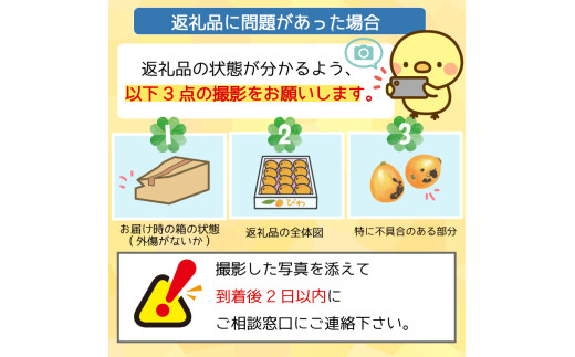 【 早期予約受付 5月中旬頃より順次発送 】びわ フルーツ 果物 おすすめ 6 ~8個 4 パック 約 1.2kg 旬 果実 ギフト 枇杷 期間限定 高知県 須崎市 高級 季節 初夏 新着 高知 贈答