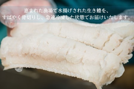 ハモしゃぶ セット 定期便 500g×3回 3ヶ月 小松島産 鱧 ハモ