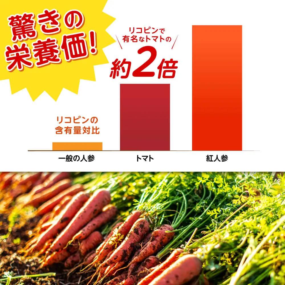※【2027年1月上旬より順次発送／先行予約】【訳あり】真っ赤な人参「紅天神」10kg AHCU006 人参