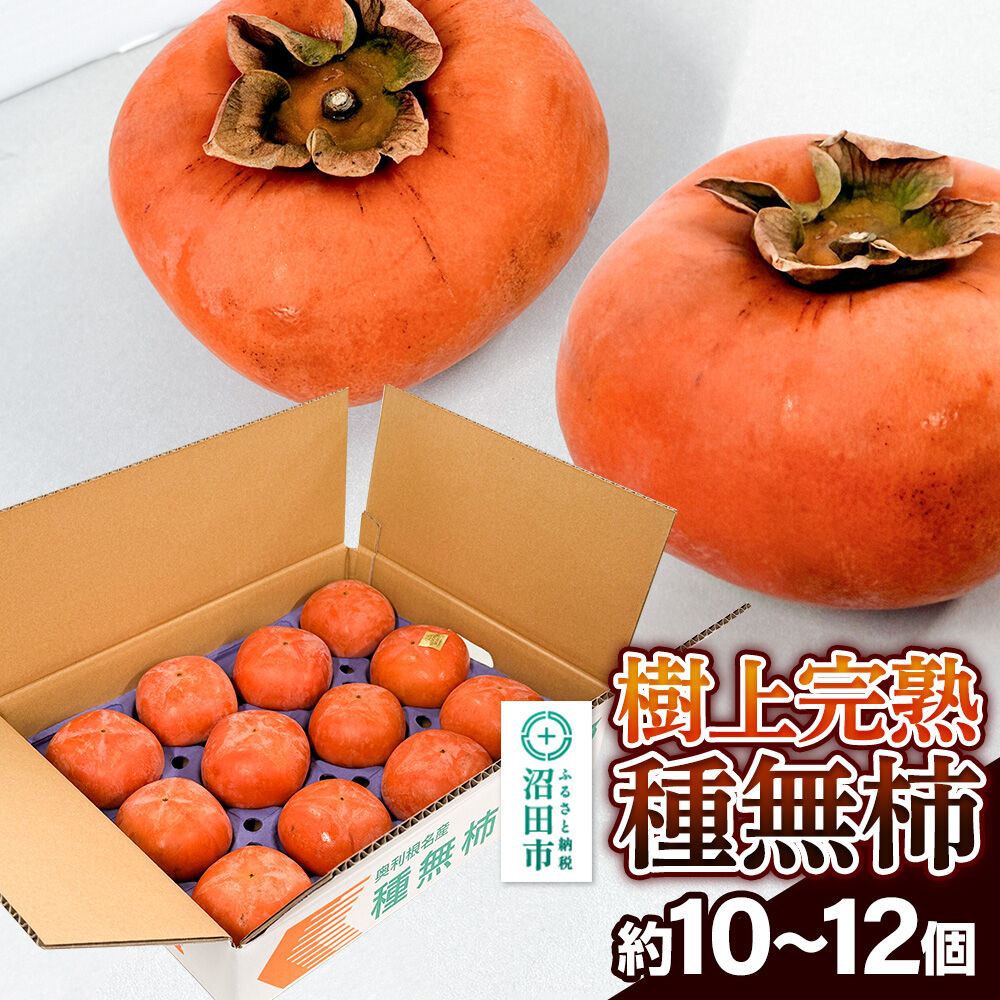 【ふるさと納税】樹上完熟種無柿 1箱（約10〜12個） [柿 かき カキ 果物 フルーツ スイーツ 種無 種なし 完熟 地元で評判 群馬県 沼田市]