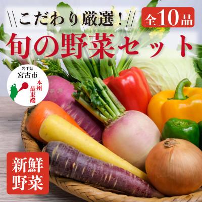 ふるさと納税 宮古市 【新鮮野菜】こだわり厳選!旬の野菜セット