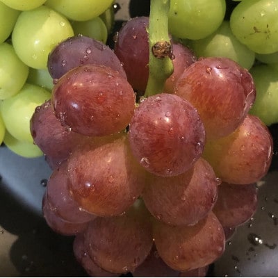 【2025年度発送分】希少品種ブドウわけありマスカットビオレ2kg【配送不可地域：離島・北海道・沖縄県】