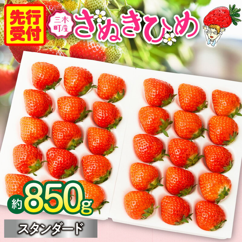【ふるさと納税】【先行予約】苺音スタンダード～春の大粒のさぬきひめいちご～ 約850g スイーツ いちご ストロベリー さぬきひめ 苺 冷蔵 フルーツ 旬 果物 香川県 デザート 青果物 先行受付 先行予約 季節限定 旬 おすすめ 三木町 送料無料