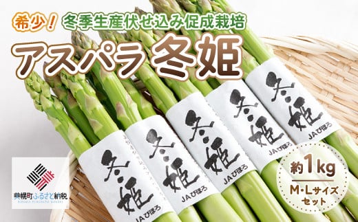 希少!冬期生産伏せ込み促成栽培アスパラ「冬姫」M～L　約1kg【配送不可地域：離島】 【 ふるさと納税 人気 おすすめ ランキング アスパラ アスパラガス 促成栽培 野菜 新鮮 ヘルシー おいしい 北海道 美幌町 送料無料 】 BHRG070