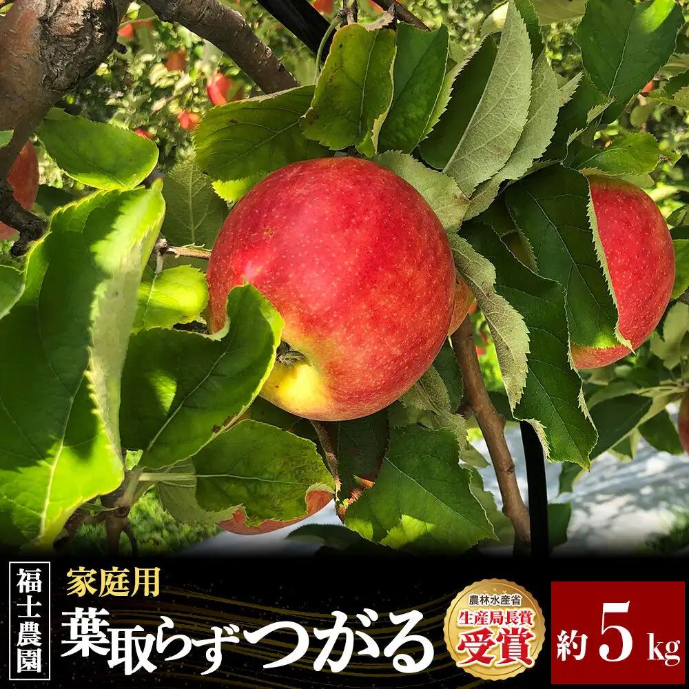 【26年9月発送】りんご 葉とらず つがる【家庭用】約5kg 青森県 弘前市