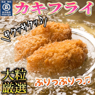 サクサクッ!国産大粒カキフライ40粒(約1kg)(岡垣町)【配送不可地域：離島】【1332969】