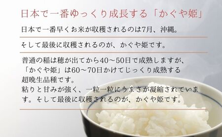 【令和7年産】 新米 宮城県産 超稀少品種 かぐや姫 精米 5kg 宮城県 東松島市 天授のお米 米 白米 こめ 宮城県 東松島市 オンラインワンストップ 対応 自治体マイページ