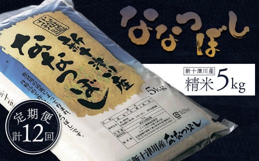 先行受付 令和7年 ななつぼし 精米 定期便 12回 5kg  ｜ オンライン 申請 ふるさと納税 北海道 新十津川 北海道産 米 ブランド ブランド米 お米 北海道米 道産米 道産 ご飯 美味しい ギフト  贈り物 お取り寄せ 新十津川町 日本穀物検定協会 食味ランキング 特Ａ【1100803】
