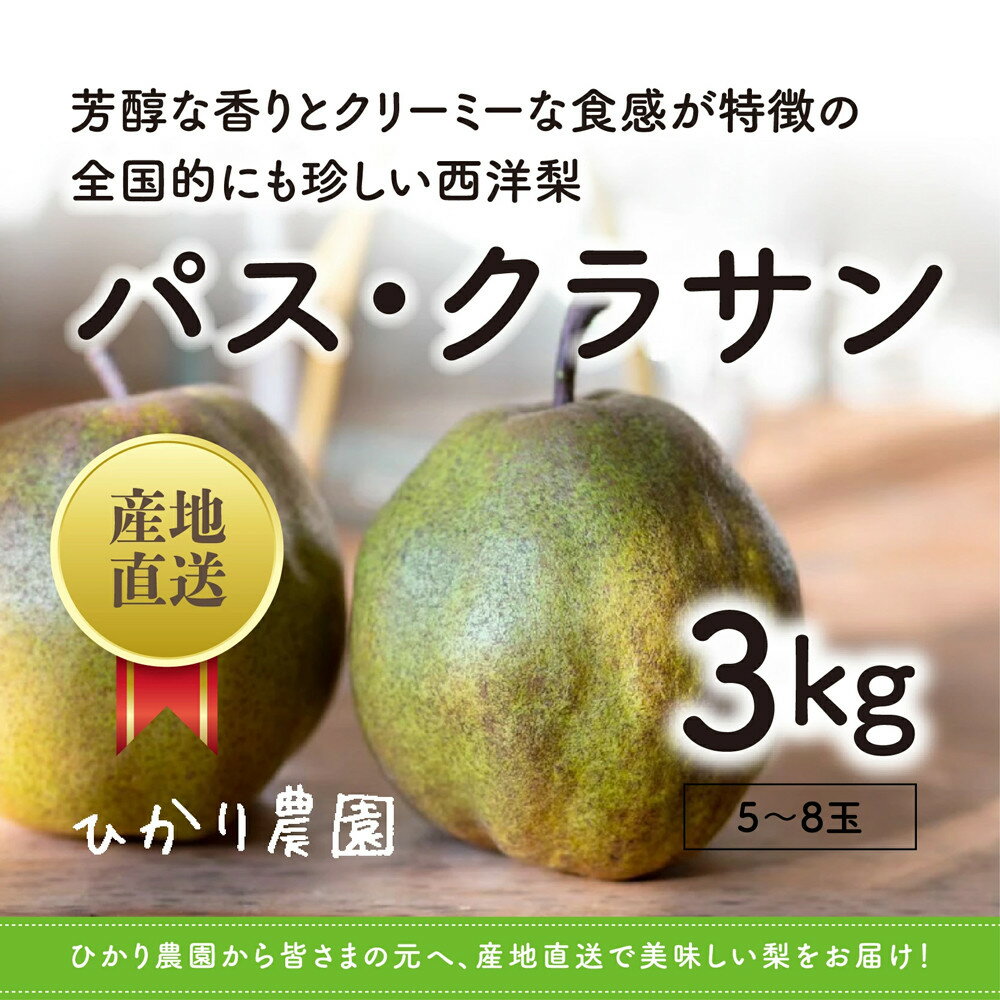 【ふるさと納税】完熟こだわりパス・クラサン 3キロ（ひかり農園） | 鳥取 フルーツ 洋梨 なし 期間限定 送料無料