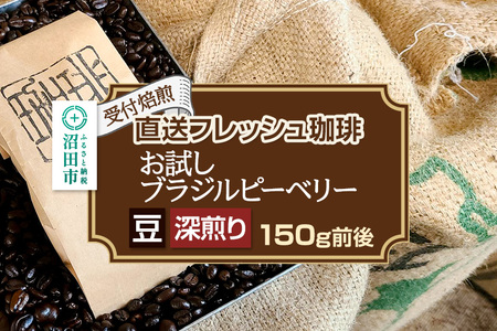 《受付焙煎》直送フレッシュ珈琲 お試し ブラジルピーベリー【豆／深煎り】約150g 珈琲倶楽部 沼田店