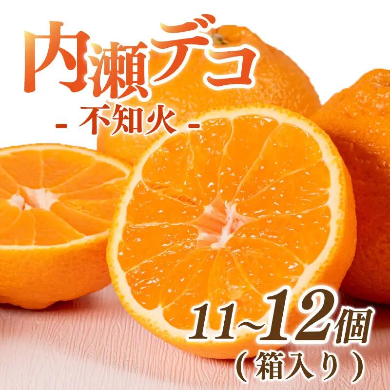 【不知火】 不知火 11～12個 アサヒ農園 【ASHN_002】