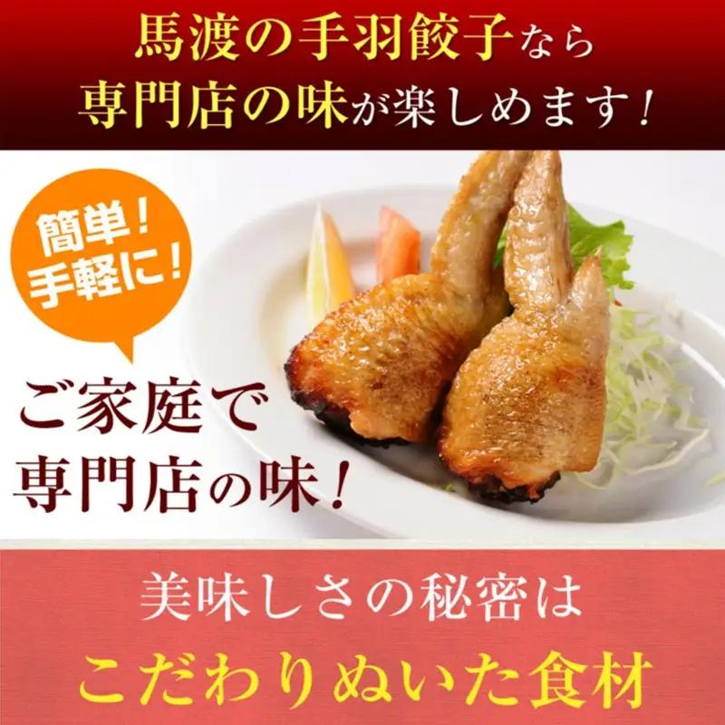 【TV番組で餃子日本一獲得!】 馬渡のもっちり 餃子 手羽餃子 国産 小分け 肉 人気