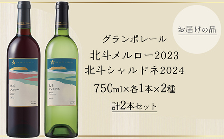 グランポレール　北斗メルロー2023　シャルドネ2024　各1本セット 【 ふるさと納税 人気 おすすめ ランキング ワイン わいん 赤ワイン 白ワイン メルロー シャルドネ サッポロビール 葡萄 ぶ