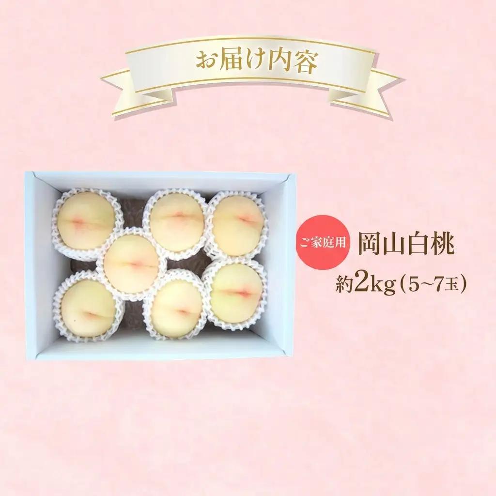 桃 白桃 家庭用 岡山県産 白桃【約2kg5～7玉】【先行受付】