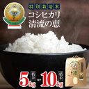 【ふるさと納税】*【 令和6年度産 新米 】茅野農園 選べる 内容量 松川村産 特別栽培米 コシヒカリ 清流の恵 白米 5kg 10kg | 米 お米 コメ こめ 精米 白米 はくまい コシヒカリ 長野県 松川村 優秀賞 信州