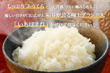 【令和5年産】いちほまれ 真空パック 精米 300g×9個 計2.7kg《ギフトにもおすすめ！化粧箱入り》／ 福井県産 ブランド米 白米 2合