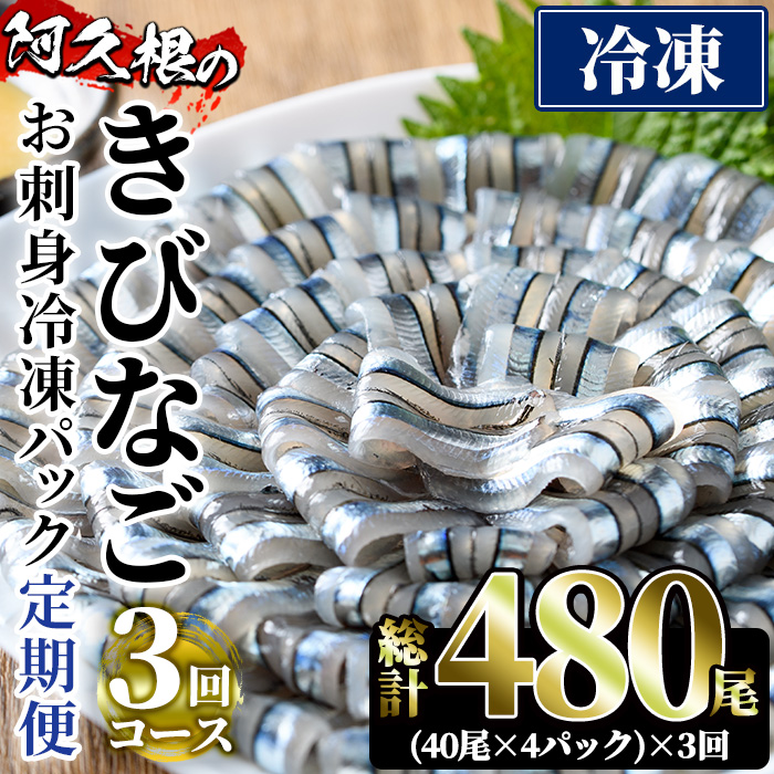 ＜定期便・全3回(冷凍便)＞鹿児島県産！阿久根のきびなごお刺身セット(計480尾・40尾×4P×3回)冷凍 魚介類 海鮮 魚 きびなご キビナゴ 刺身 さしみ 刺し身 青魚 子魚 小分け【椎木水産】a-34-5