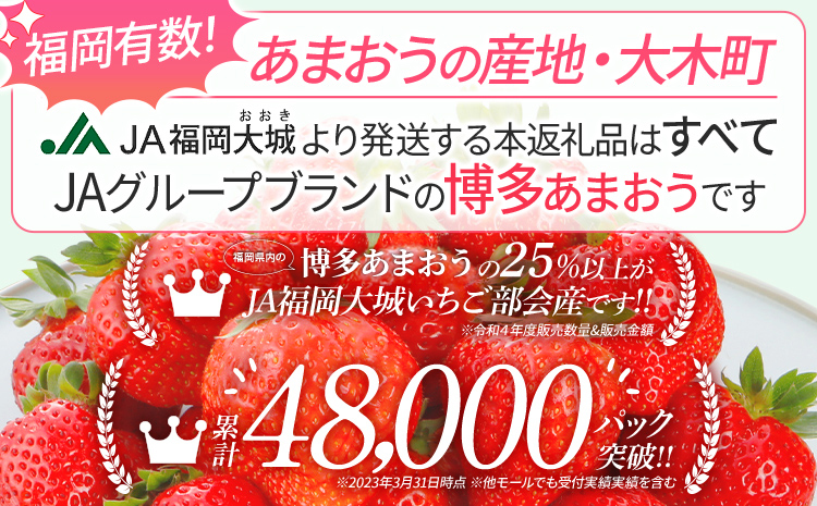 <先行予約>【アフター保証】博多あまおう 福岡県JAグループのブランド あまおういちご 1000g（約250g×4パック）JA福岡大城【2027年2月から順次発送】AG010