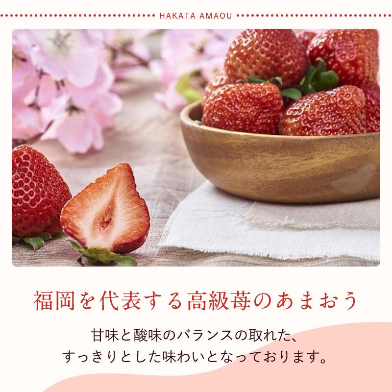 フルーツソムリエが選んだ 福岡県産春あまおう８パック※一部離島不可【1パックあたり250g】