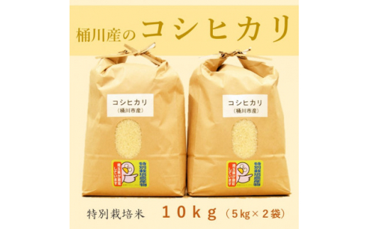 
小島農園の特別栽培米　桶川産コシヒカリ　5kg×2袋【1357476】
