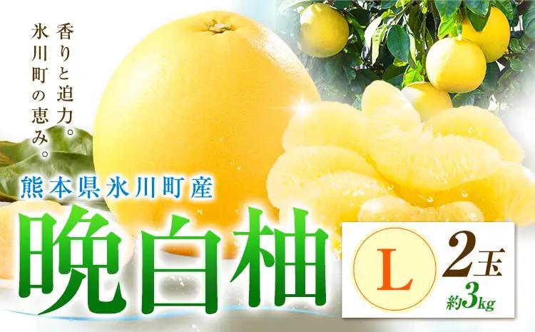 柑橘 晩白柚 L 2玉 3kg 日本フルーツ株式会社