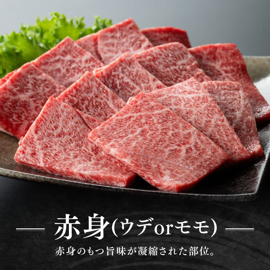 宮崎牛赤身(ウデorモモ)霜降り焼肉2種400g　宮崎牛 牛肉 [D11119]