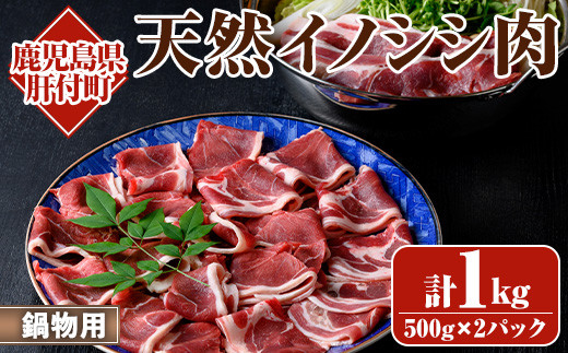 
                  A59001 ＜先行予約受付中！2026年10月以降に順次発送＞天然イノシシ肉！鍋物用(500g×2P・計1kg) 鹿児島 国産 いのしし肉 イノシシ肉 スライス 鍋 ジビエ お中元 お歳暮【きらく】
                
