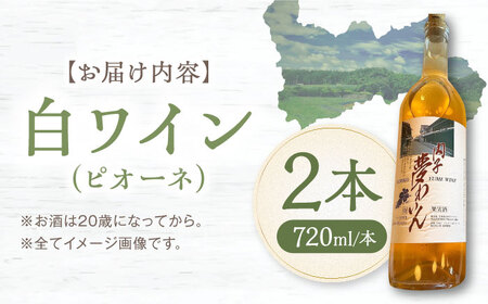 白ワイン (ピオーネ) 約720ml 2本 BKAG009 ワイン