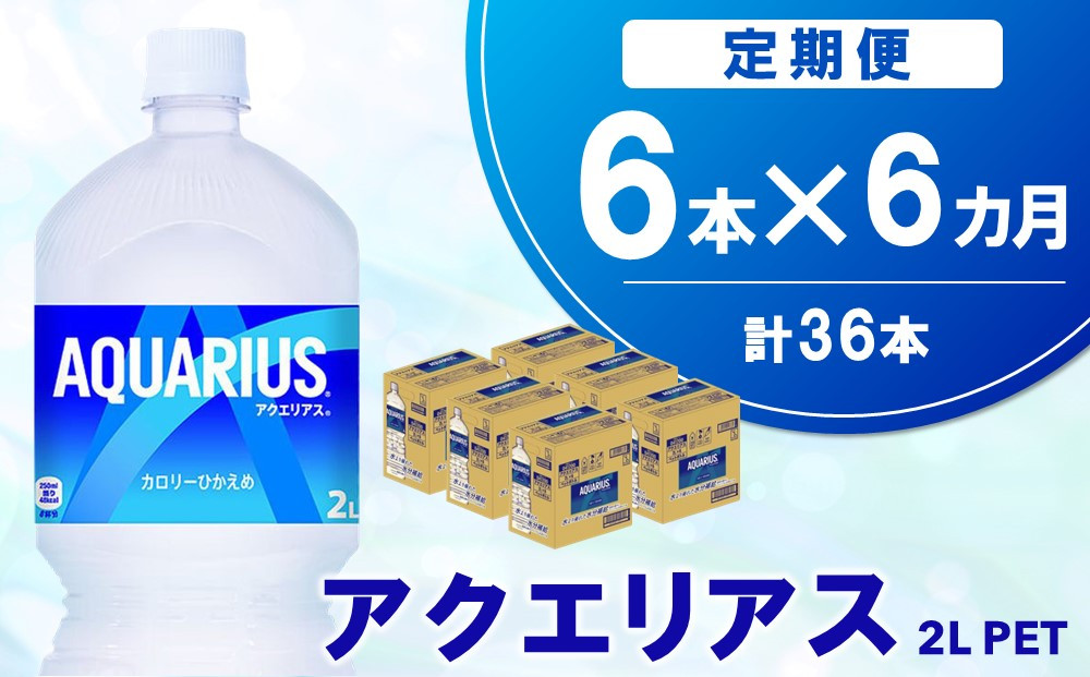 
【6か月定期便】アクエリアス PET 2L (6本×6回)【アクエリ スポーツ飲料 夏バテ予防 水分補給 2L 2リットル ペットボトル ペット スポーツ イベント】C3-C090348
