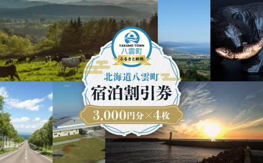 北海道八雲町　宿泊割引券3,000円分×4枚【 宿泊券 割引券 旅行 ホテル ホテルチケット 観光 宿泊 ご当地 八雲町 北海道 】