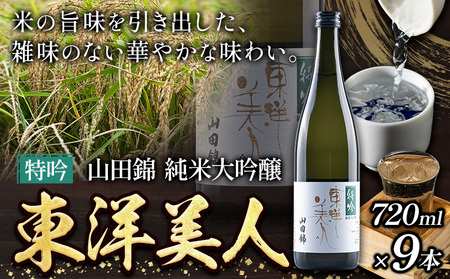 日本酒 新酒 東洋美人 特吟 山田錦 純米大吟醸 9本 計6480ml 1本あたり 720ml 福岡吟醸倶楽部株式会社《30日以内に出荷予定(土日祝除く)》福岡県 鞍手郡 鞍手町 酒 熱燗 送料無料