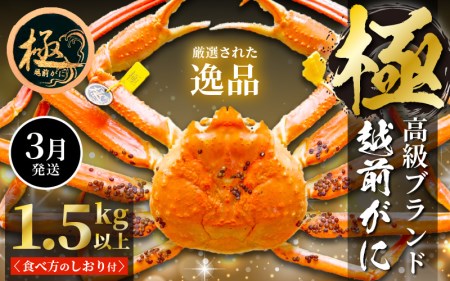 越前がに本場の越前町からお届け！越前がに浜茹で 極みサイズ（生で1.5kg以上）×1杯【3月発送】 [e14-x012_03] 越前町 雄 ズワイガニ ボイル 冷蔵 越前がに 越前ガニ 越前かに 越前カニ