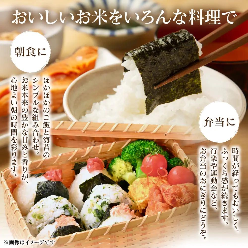 精米 《令和7年産》 くまさんの輝き 5kg×1袋  精米