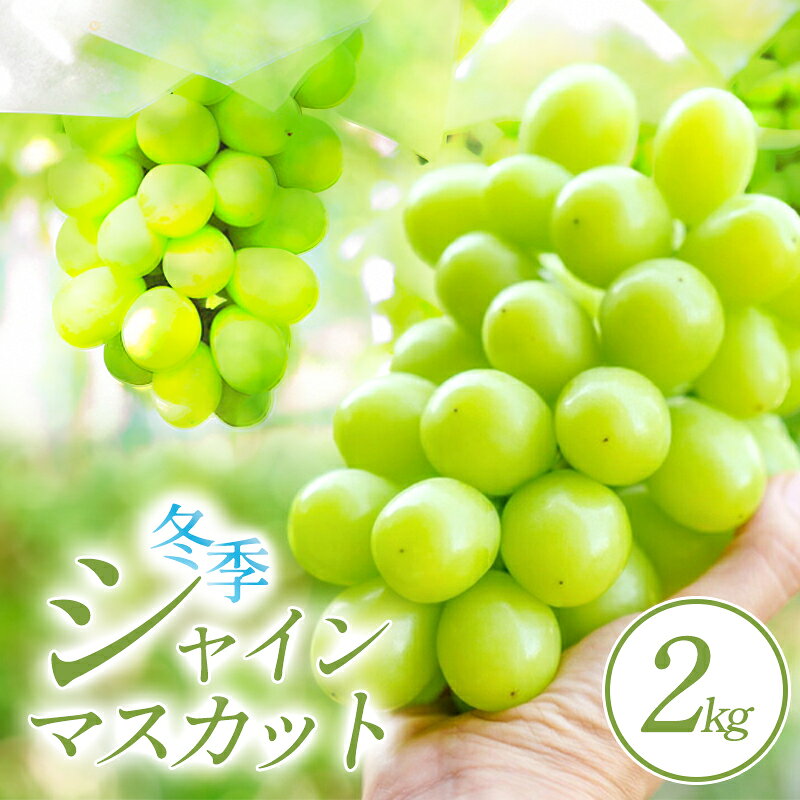【ふるさと納税】 先行予約 冬季 シャインマスカット 2kg 果物 くだもの フルーツ ブドウ ぶどう 葡萄 マスカット 種なし 期間限定 季節限定 シーズンオフ