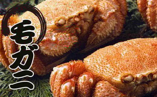 E-30007【12/21まで年内配送】 毛かに400g前後～550g前後×6尾