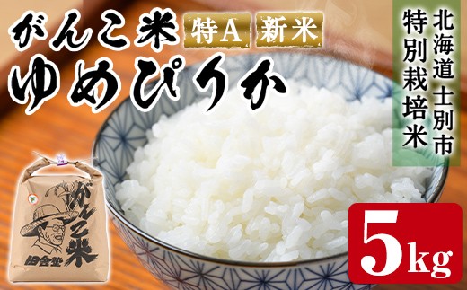 ＜令和8年産 新米 先行予約！＞田舎塾特別栽培米「がんこ米ゆめぴりか」(5kg) 【2026年10月上旬以降順次発送】 米 お米 白米 北海道産 北海道米 ゆめぴりか 特A 一等級 ごはん おこめ コメ 単一原料米 新米 【田舎塾】【B7087】
