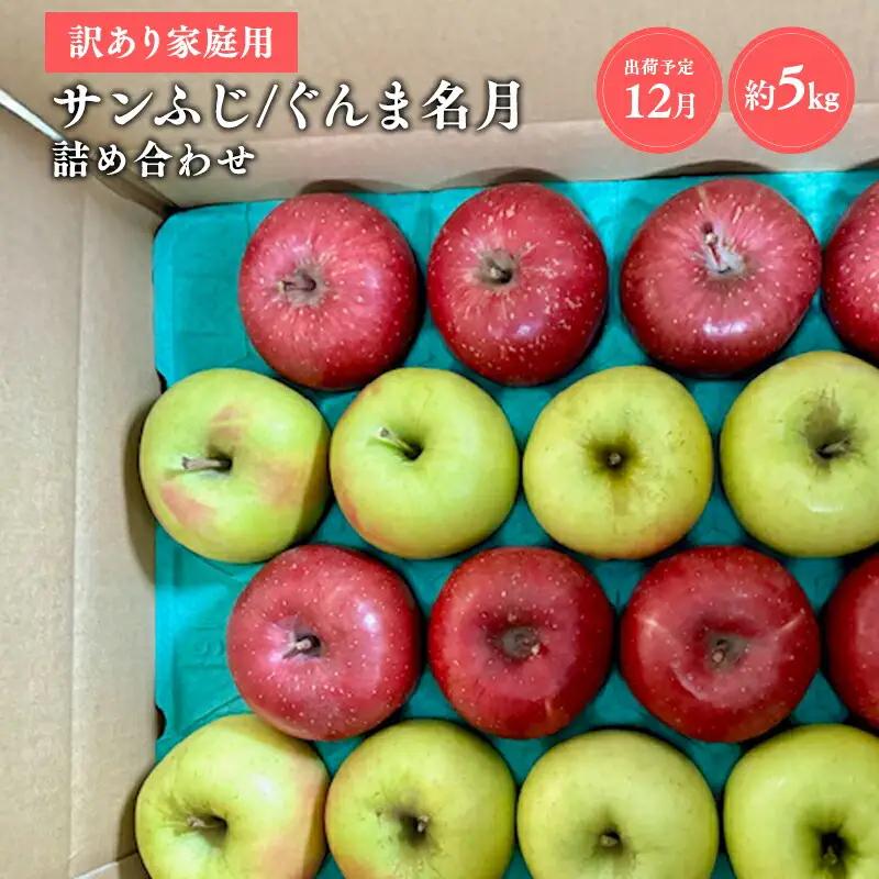 りんご 家庭用 サンふじ/ぐんま名月 詰め合わせ約5㎏【hi-0038-038】