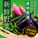 【ふるさと納税】【11月～6月発送分受付中】朝どれ！ 野菜詰合せ／芸西村で採れた新鮮な野菜6〜8種類をお届けします。特産品 ピーマン ナス こだわりの栽培方法 環境に優しい 安全で安心な野菜づくり コロナ 支援品