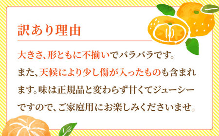 【先行予約】【数量限定】【3回定期便】【訳あり】家庭用 みかん 約3kg 詰め合わせ 柑橘【合同会社 社方園】[ZBZ023]
