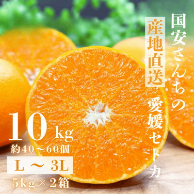 【ふるさと納税】【みかんの大トロ】糖度12.0以上 酸1.4以下 糖酸選別品 愛媛セトカ 10kg【H20-77】【1620331】