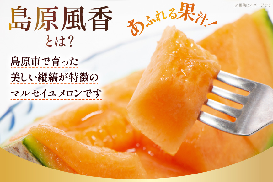 CF108【令和7年度出荷分】マルセイユメロン～島原風香～（4L×2玉） 【メロン 赤肉 果物 くだもの フルーツ 産地直送 長崎県 島原市】