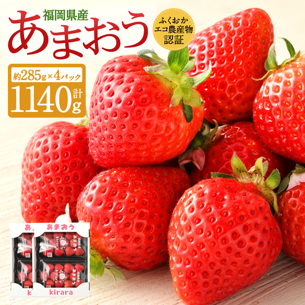あまおう 約1140g 約285g×4パック いちごファームきらら【ふくおかエコ農産物認証】【2026年2月上旬-3月下旬発送予定】