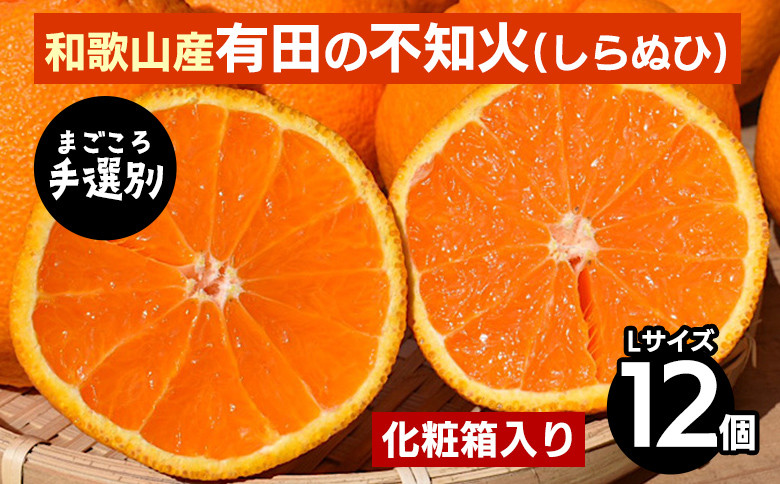 
            【まごころ手選別】和歌山産　有田の不知火(しらぬひ) 化粧箱(フルーツキャップ付き)Lサイズ12個入り ※2026年2月上旬～4月下旬頃に順次発送予定
          